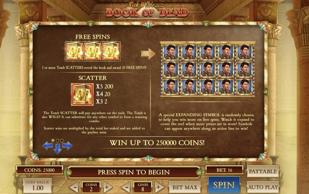Liity 1win Casinoon pelaamaan Book of Dead -kolikkopeliä
